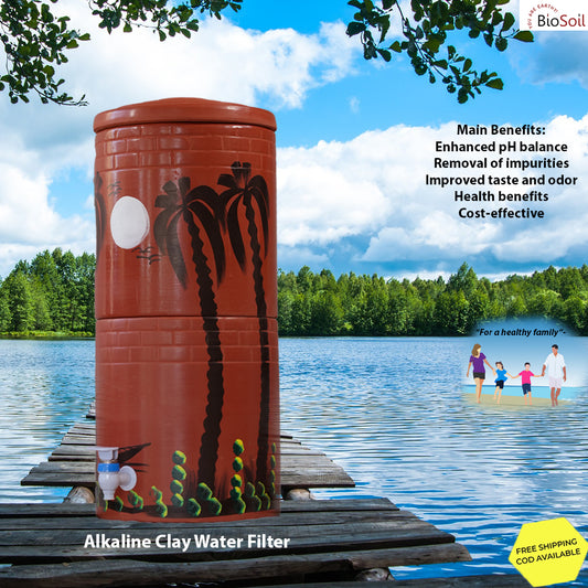 Alkaline Clay Water Filters vs. RO Water Systems: The Benefits of Choosing an Alkaline Clay Water Filter