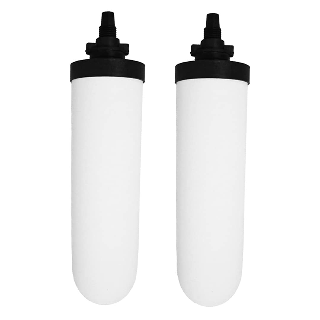BioSoil™ Alkaline Clay Water Filter and Purifier